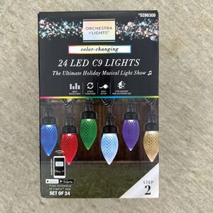 Gemmy Orchestra of Lights Color Changing 24 LED C9 Bulbs Step 2 Musical Show New